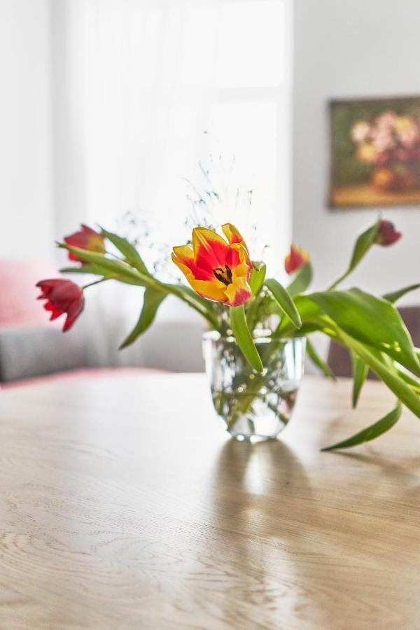 New And Lovely Apartament In Vilnius City Centre Bagian luar foto
